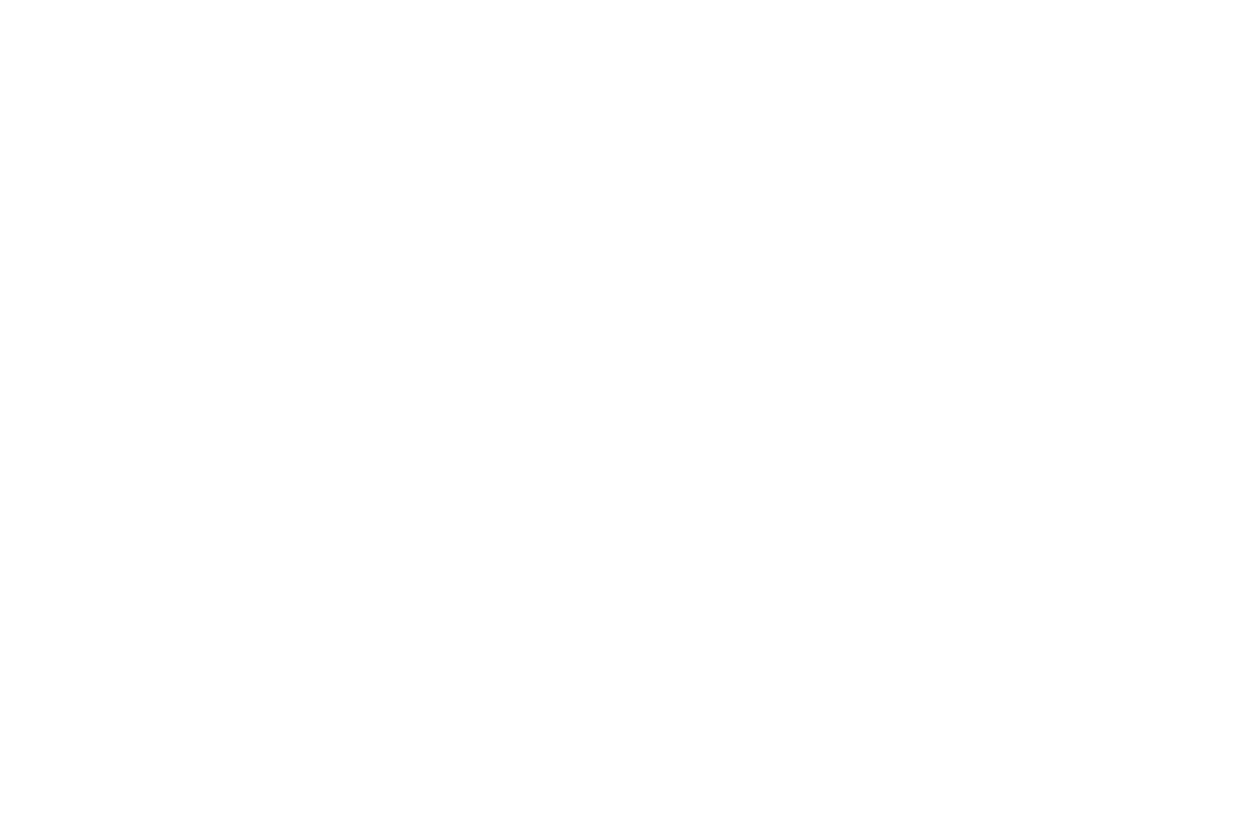 The Cool Dogs Vet