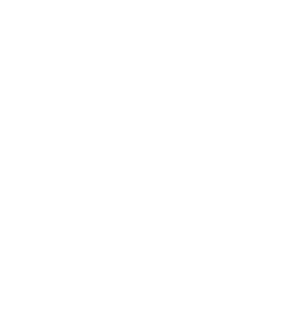 The Cool Dogs Vet